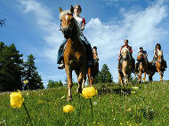 Unterwegs sein ist unsere Natur