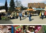 Hitzendorfer Bauernmarkt 
